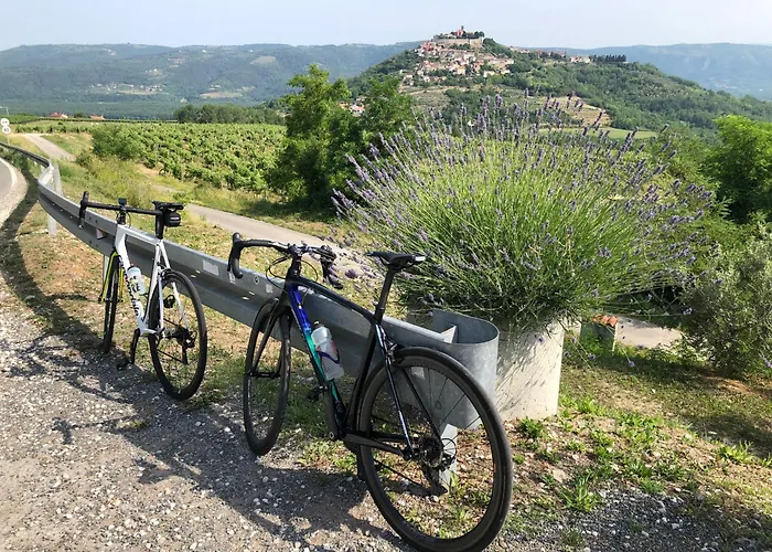 Villa Kortus - Private Pool&700mbeach Savudrija